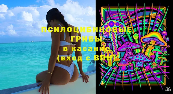 ешки Верхний Тагил