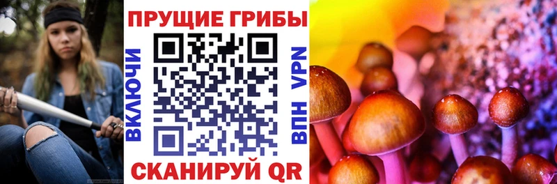 Галлюциногенные грибы ЛСД Камбарка
